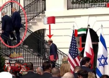 حكاية في صورة