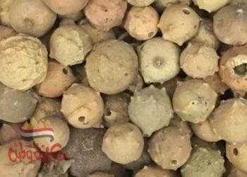 فوائد العفص للنساء وللشعر والجسم