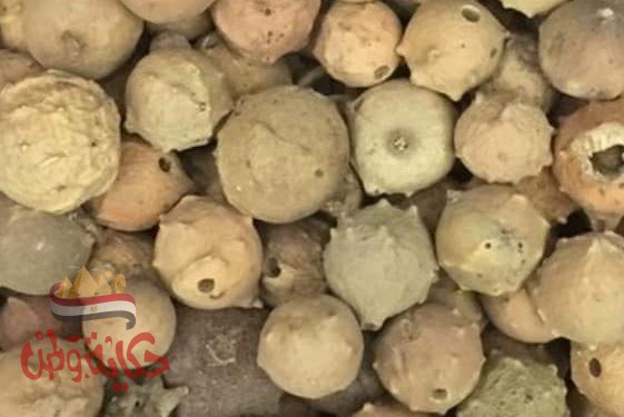 فوائد العفص للنساء وللشعر والجسم