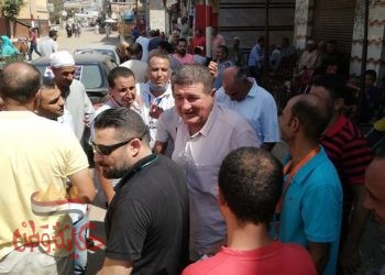 انتخابات مجلس الشيوخ.. اقبال الناخبين في اليوم الثاني