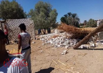 12 حالة إزالة بنجع الشيخ علام بالزوك الغربية التابعه لمركزالمنشاة بسوهاج