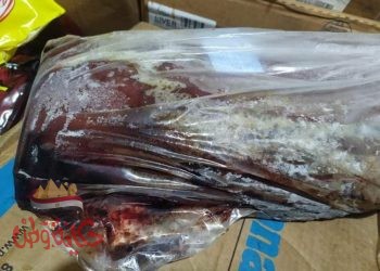 الفيــــــوم : ضبـــط كبده مجمده منتهيه الصلاحيه بثلاجة لبيع المجمدات بسنورس