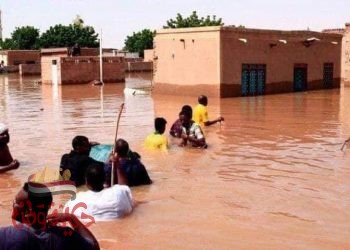 نداء من ابن مصر الشريف أحمد شقير إلى أهل المروءة والنجدة لمساعدة أهلنا بالسودان الحبيب