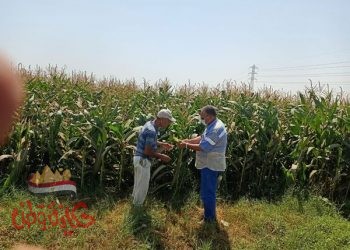 محافظ أسيوط : متابعة مستمرة لخطة تطوير مزارع الثروة الحيوانية