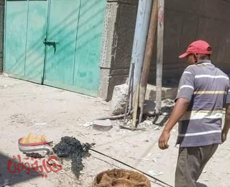 إستمرار حملات النظافة وأعمال الرش والتطهير بمركز ومدينة رشيد .