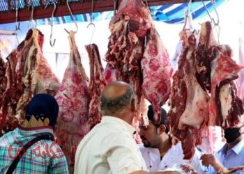 أسعار اللحوم البلدى وانواعها بالأسواق اليوم