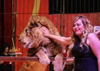 فاتن الحلو تخصص مقاعد للصحفيين وأسرهم مجانا اليوم وغدا