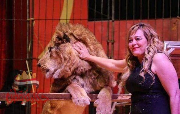 فاتن الحلو تخصص مقاعد للصحفيين وأسرهم مجانا اليوم وغدا