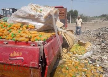 تحرير ٦١ محضر وإعدام مجموعة من السلع الغير صالحة للإستهلاك الآدمي بحوش عيسى .