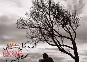 ألملم كل أشلائى