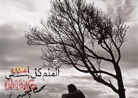 ألملم كل أشلائى