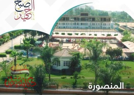 صباح الخير من المنصورة