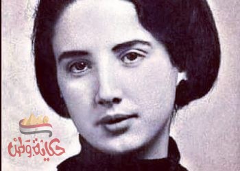 حكاية فيولا