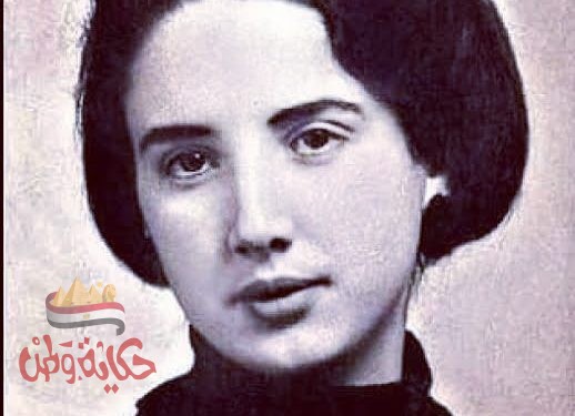 حكاية فيولا