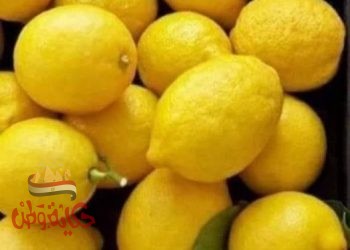 الليمون اقوي مضاد للفيروسات