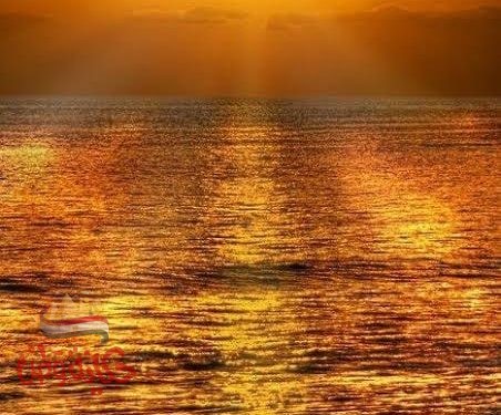 عصفور في الخلاء