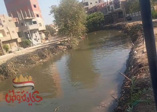 المنوفيه تطهير كافة المجاري المائيه بالمحافظة 