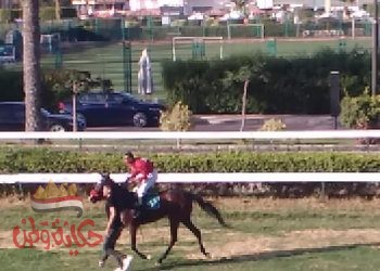 نادي الجياد يعيد سباق الخيل للاسكندرية من جديد