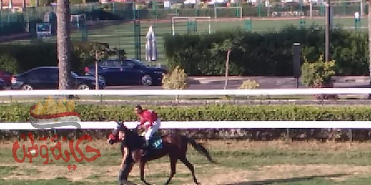 نادي الجياد يعيد سباق الخيل للاسكندرية من جديد