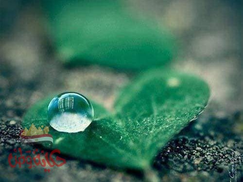 تتنهدني الحروف