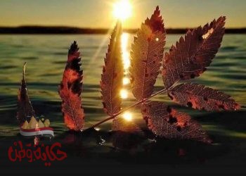 وتستبيح الأمواج القلوب ..