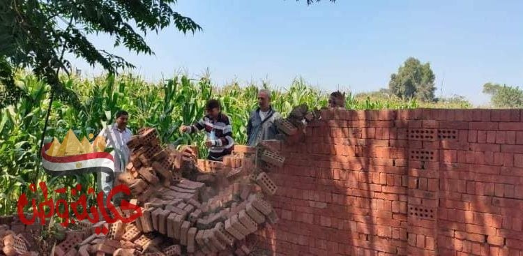 محافظ المنوفية : البناء على الاراضي الزراعية والازالة الفورية