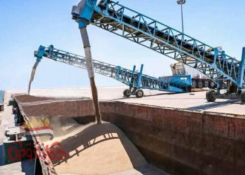 نقل 2075 طن قمح من ميناء دمياط الى صوامع امبابة ليصل إجمالى 20 يوم 5475 طن قمح