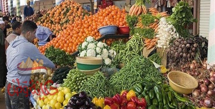 القصير: صادرات مصر الزراعية تتجاوز الـ 4 مليون طن لاول مرة هذا العام