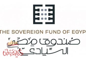 مصر : بدء المحادثات لبيع الكهرباء لأفريقيا وأوروبا