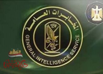 صقور مصر لا تنام