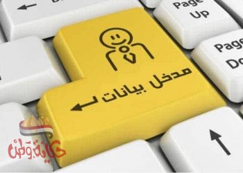 ما لا تعرفه عن مدخل البيانات