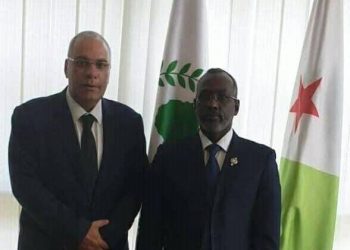السفير المصري في جيبوتي يلتقي برئيس البرلمان
