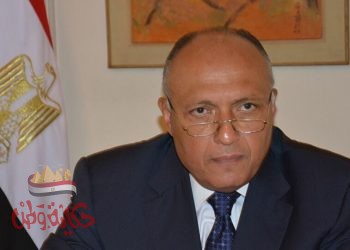 وزير الخارجية :لابد من انتهاج سياسة عربية حازمة للحد من الممارسات التركية الهدامة