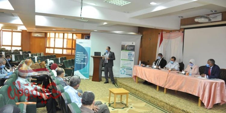 جامعة كفرالشيخ تنظم ورشة عمل بعنوان “المحاسبة المالية المبدئية في المحافظة