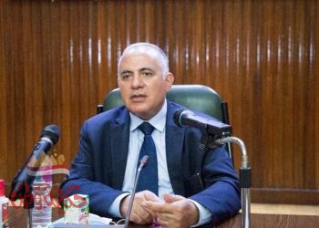  عبد العاطي : الدولة المصرية حريصة على التأكيد على أن التعاون هو الحل لتحقيق المصلحة المشتركة