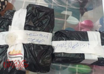 حملات مكثفة تسفر عن ضبط أكثر من ١١ ألف مخالفة دوائية بالمحافظة وتشميع مخزن أدوية مخالف بفاقوس