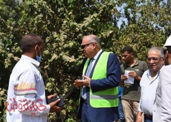 محافظ قنا يأمر بتطهير ترعة المنشية بمدينة نقادة