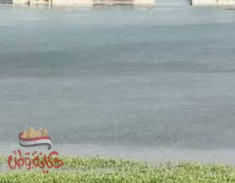 تحذيرات المنوفيه من زيادة منسوب النيل