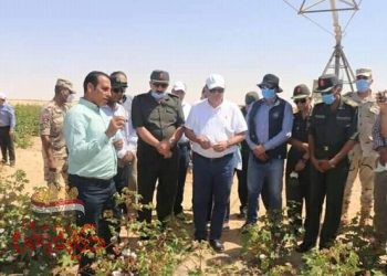 هشام توفيق" يتفقد تجربة زراعة القطن قصير التيلة بشرق العوينات*