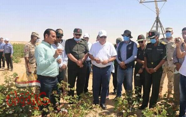 هشام توفيق" يتفقد تجربة زراعة القطن قصير التيلة بشرق العوينات*
