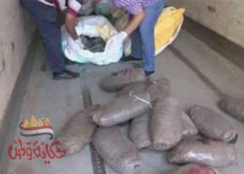 ضبط4متهمين شديدة الخطورة سلاح مخدرات شروع في قتل