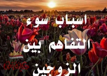 أسباب عدم التفاهم بين الزوجين