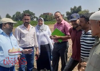 جهود الري للمحافظه علي المياه 