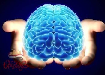 اسرار وخفايا عن وظائف المخ 