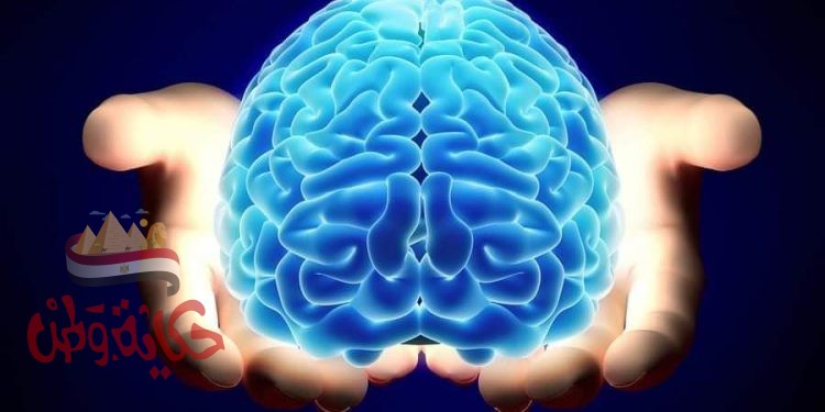 اسرار وخفايا عن وظائف المخ 