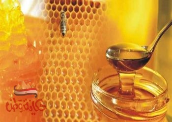 العســــــل ….. شفاء للـــــــبدن