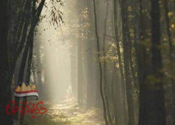 حلوه الحياه لكنها….فانيه