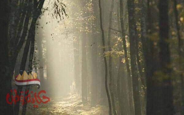 حلوه الحياه لكنها….فانيه