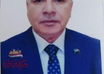 تعين الدكتور محمد الربيعى منسقا لجامعة الفيوم