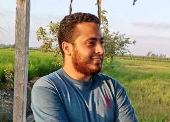 مرونه و صلابه